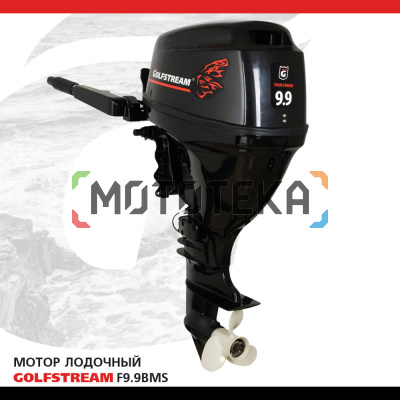 Лодочный мотор GOLFSTREAM (Гольфстрим) F9.9BMS
