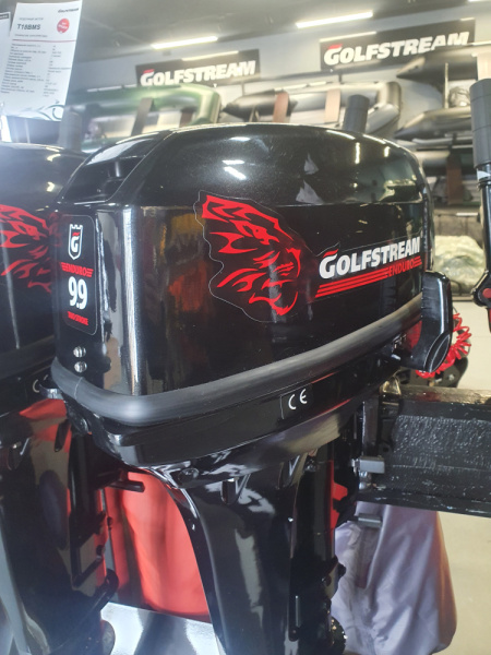Лодочный мотор GOLFSTREAM (Гольфстрим) TE9.9BMS Enduro | Мототека